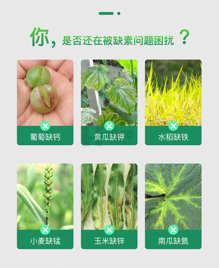 高智能土壤養分檢測儀怎么選？